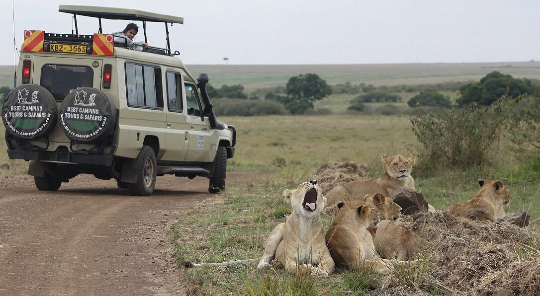 kenya safari